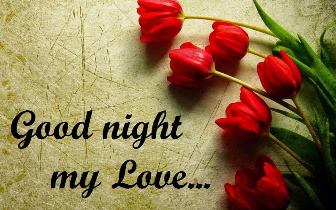 Good Night My Love Floral Message Wallpaper