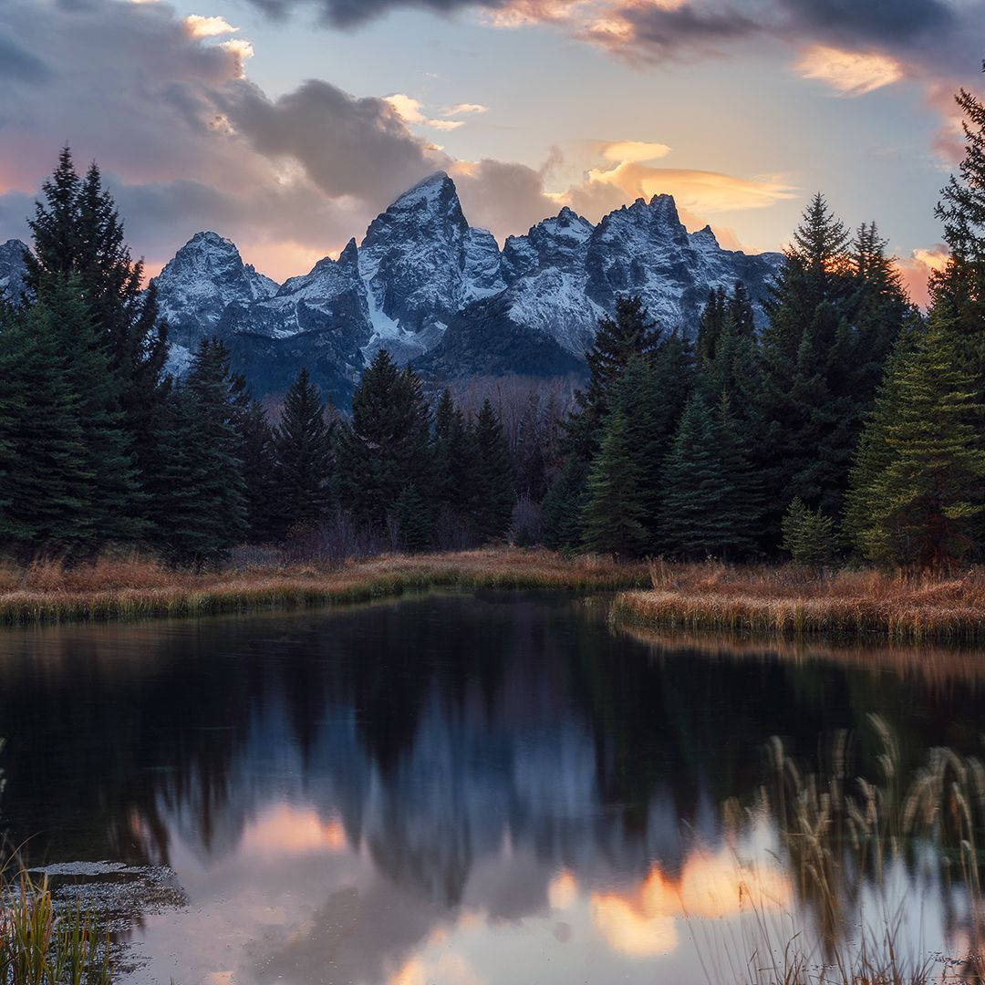 Grand Teton National Park Brown Grass Wallpaper