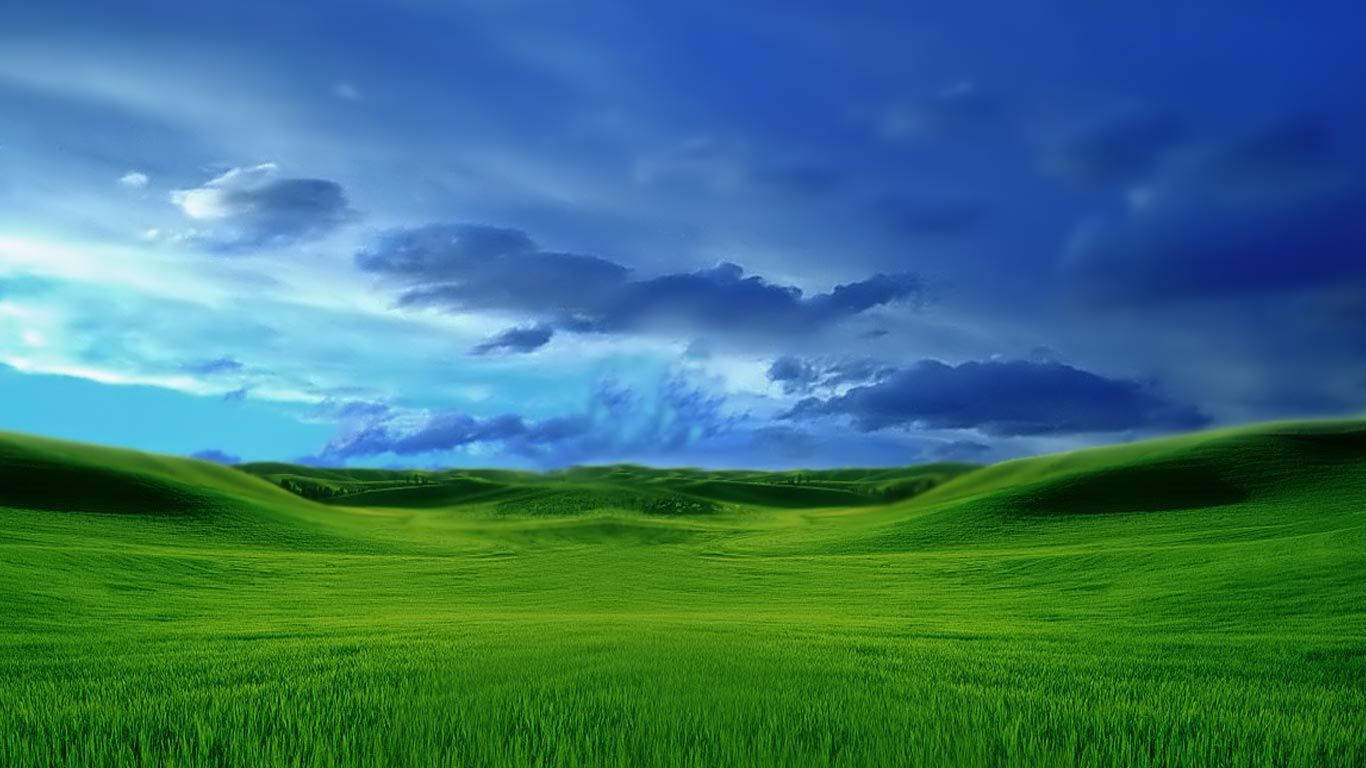 Grass Field Laptop Desktop Wallpaper