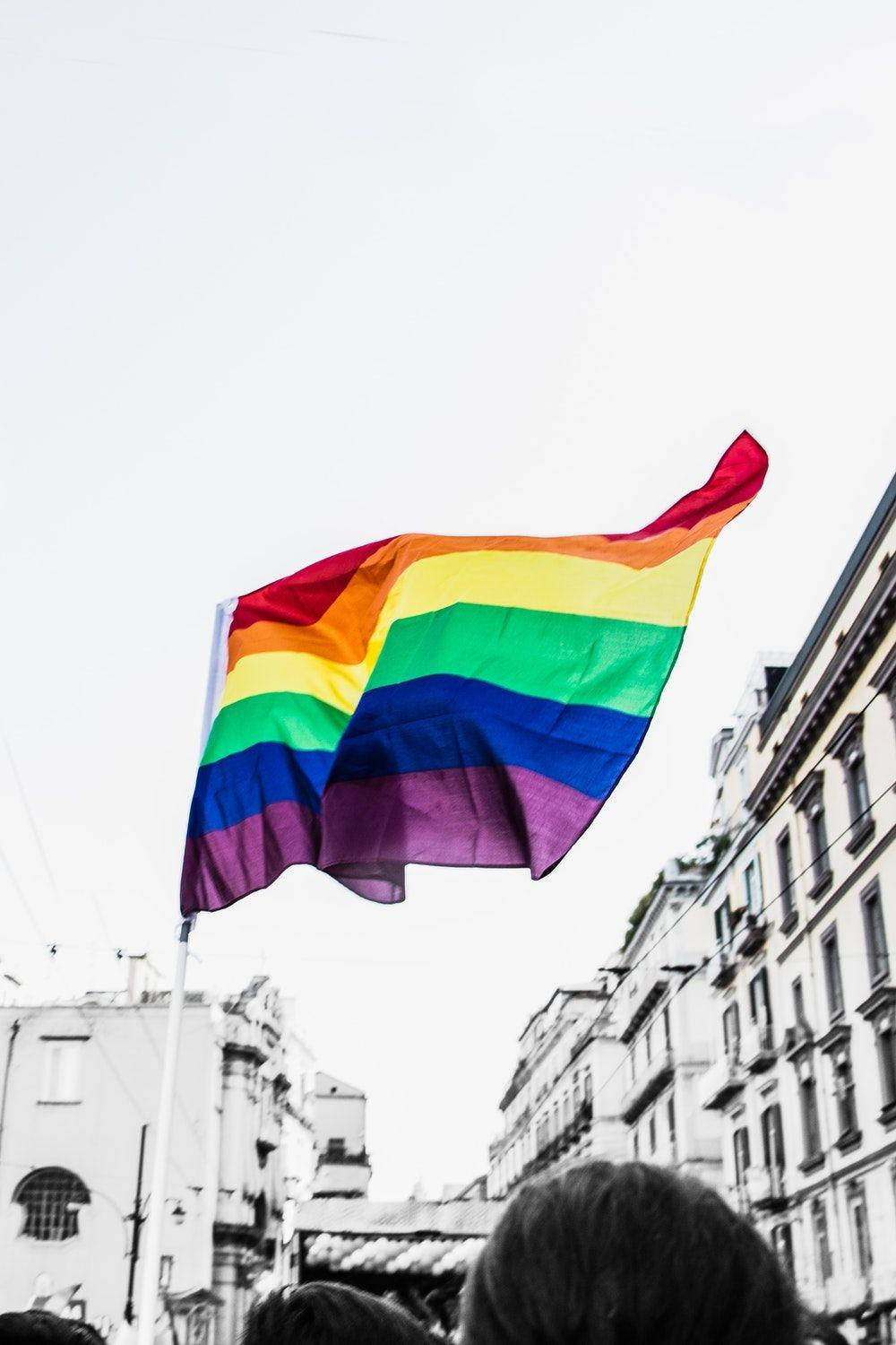 Gray Scale Photograph Of Queer Flag Wallpaper