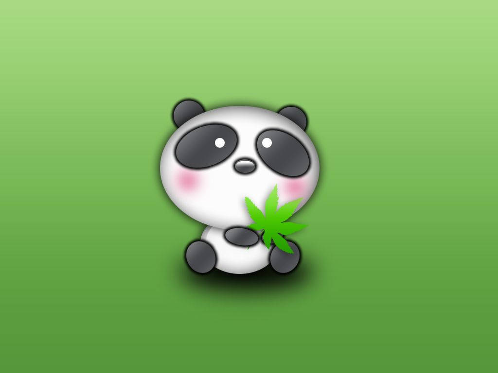 Green Background Baby Panda Wallpaper
