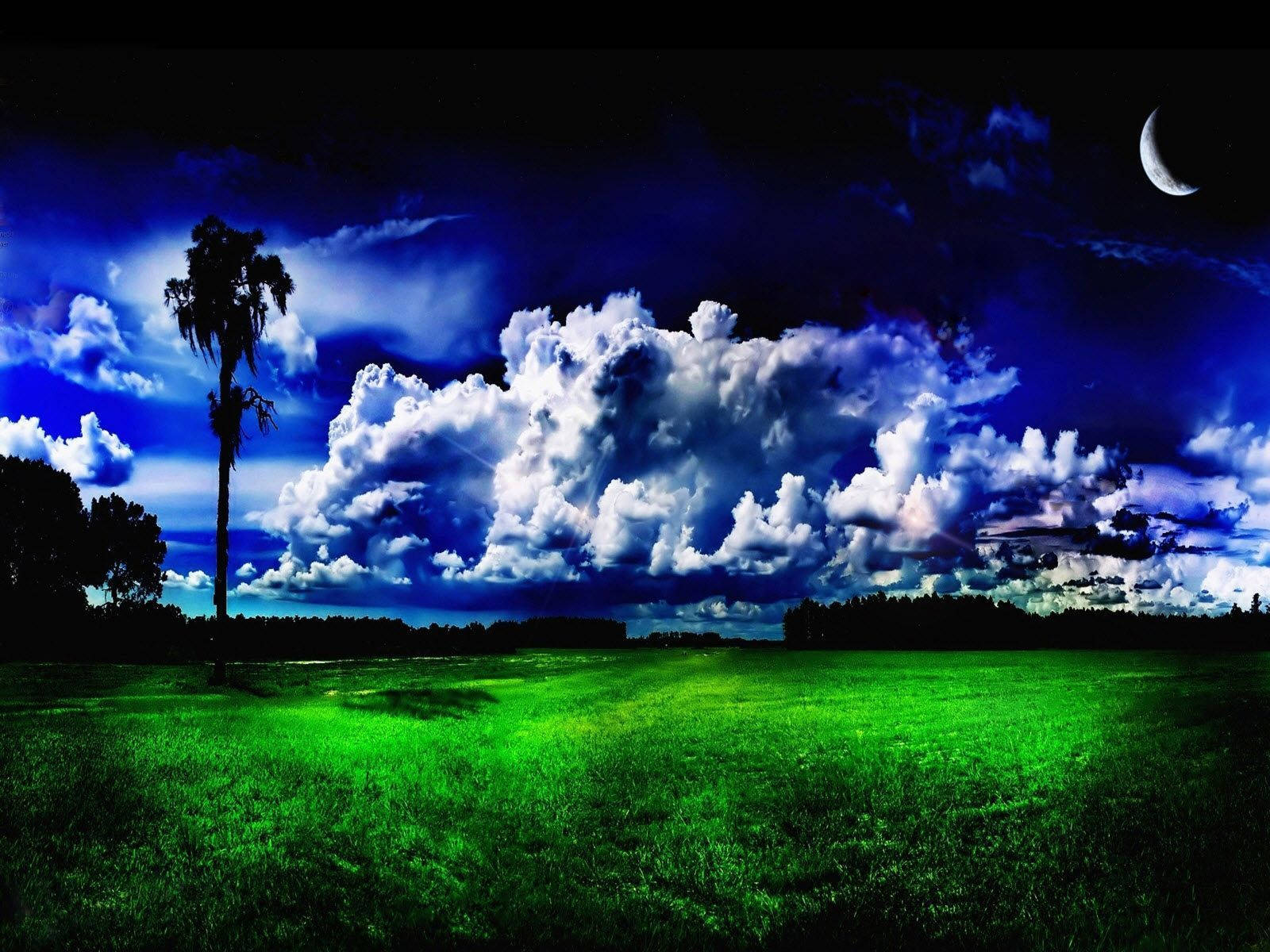 Green Grass Under Sky All Best Wallpaper