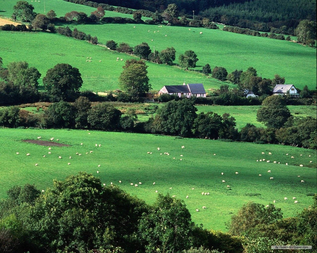 Green Irish Countryside Ireland Wallpaper
