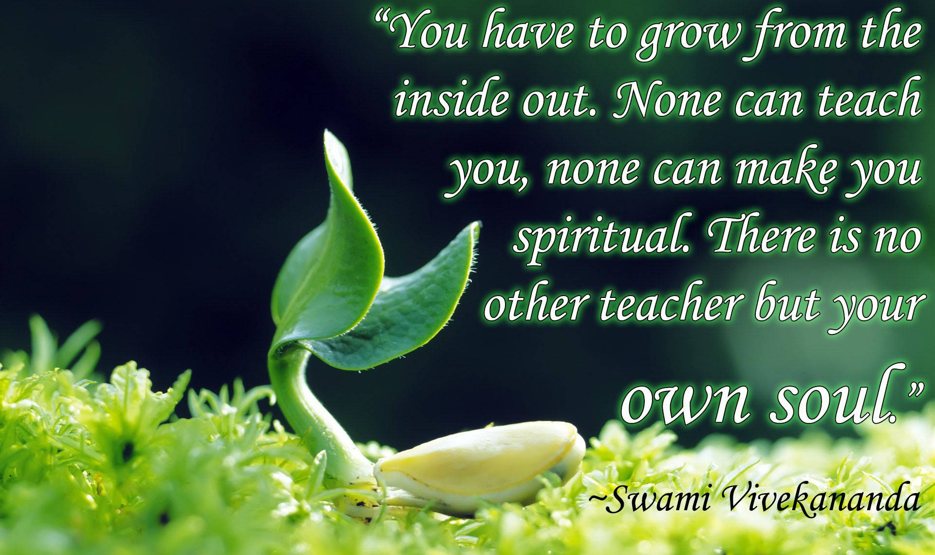 Grow Inside Out Quote Wallpaper