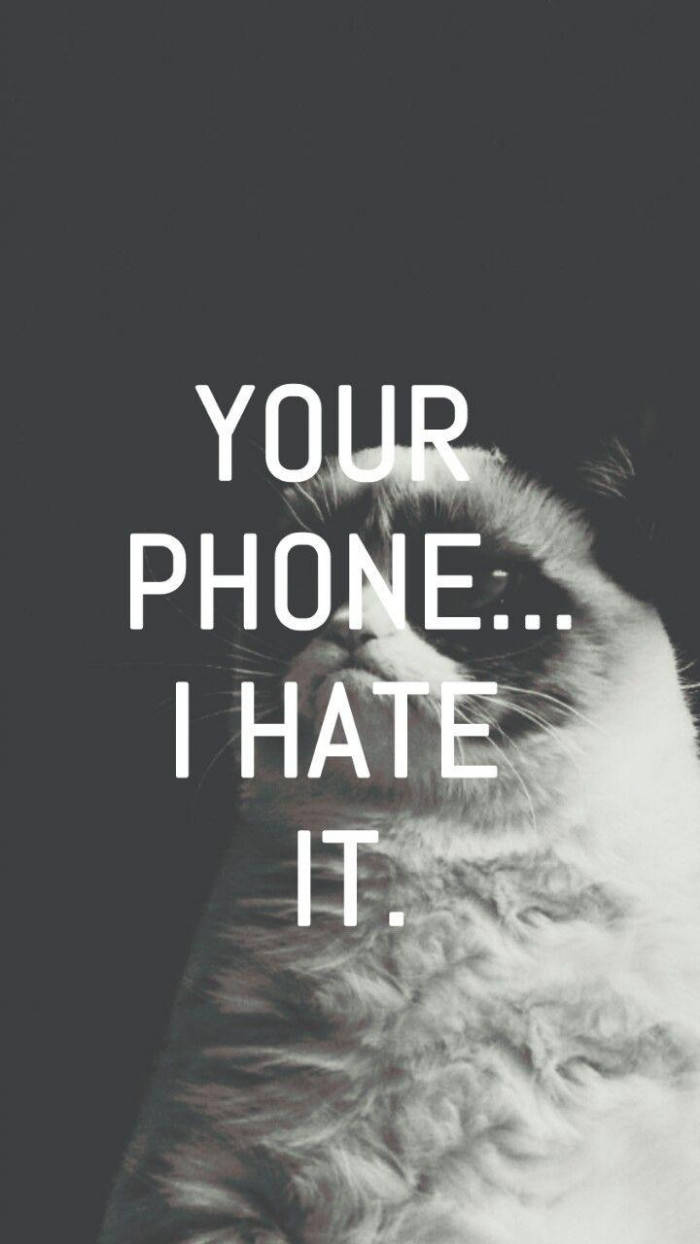 Grumpy Cat Funny Phone Wallpaper