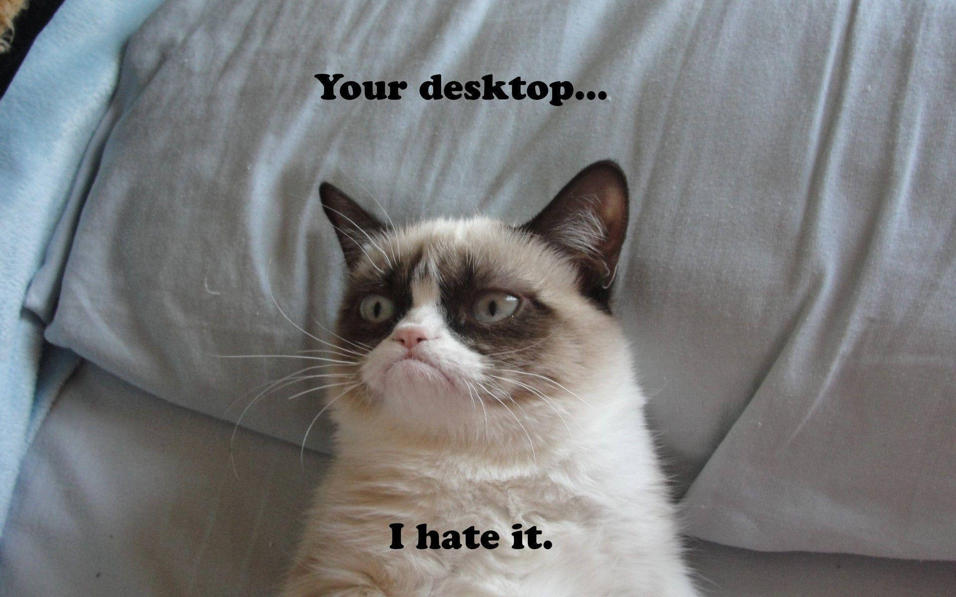 Grumpy Desktop Funny Meme Wallpaper