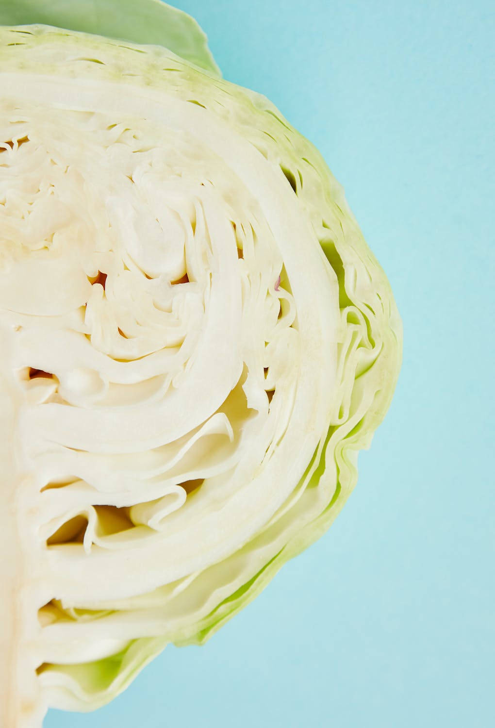 Half Fresh Cabbage Wallpaper