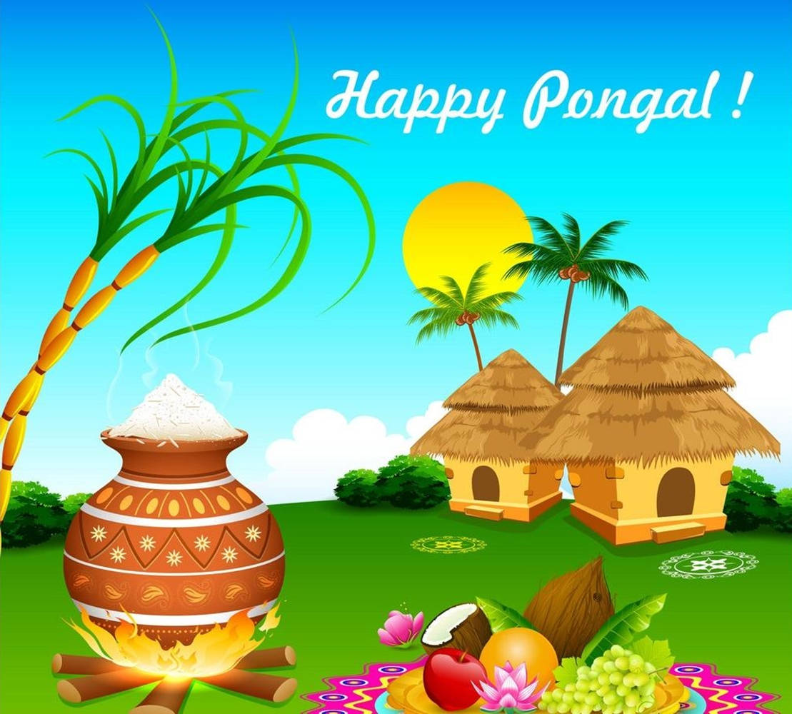 Happy Pongal Square Art Wallpaper