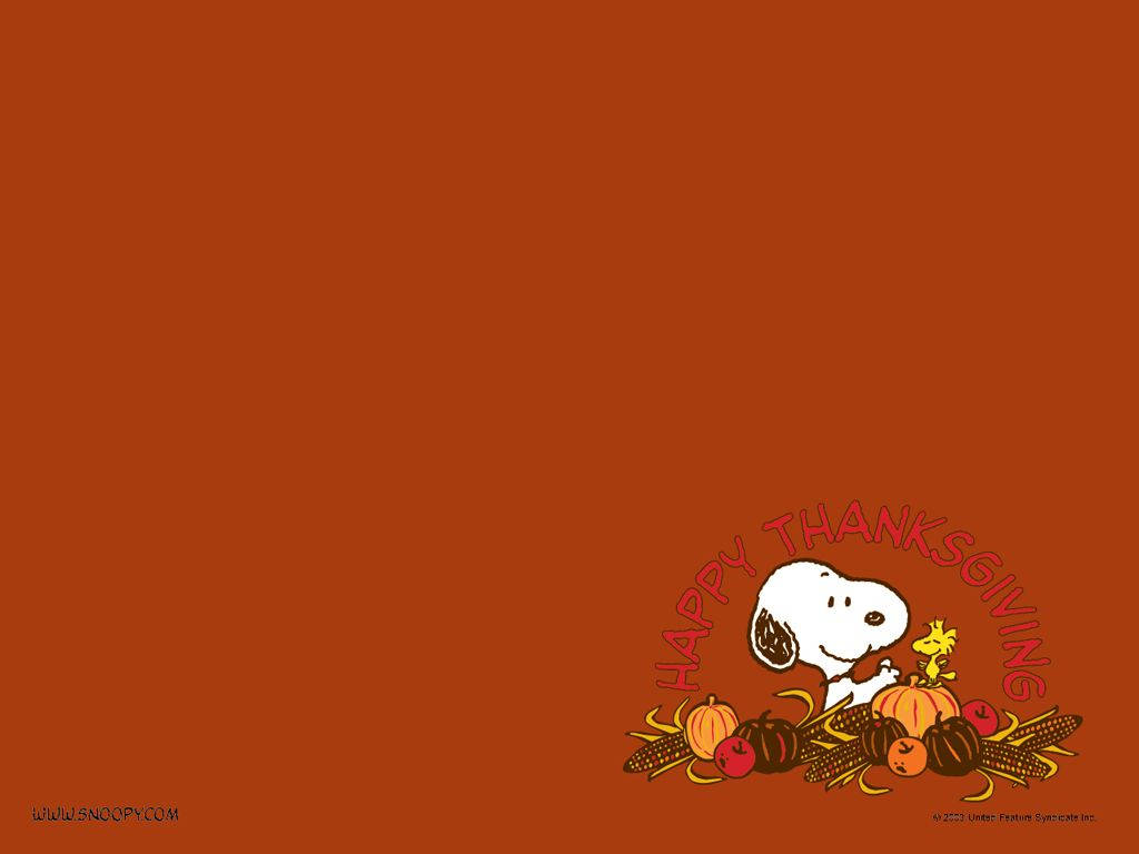 Happy Thanksgiving Snoopy In Orange Wallpaper