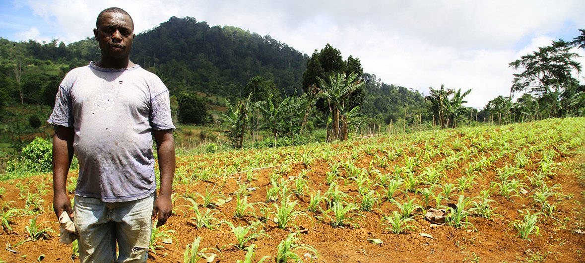 Hardworking Farmer In Sao Tome And Principe Wallpaper