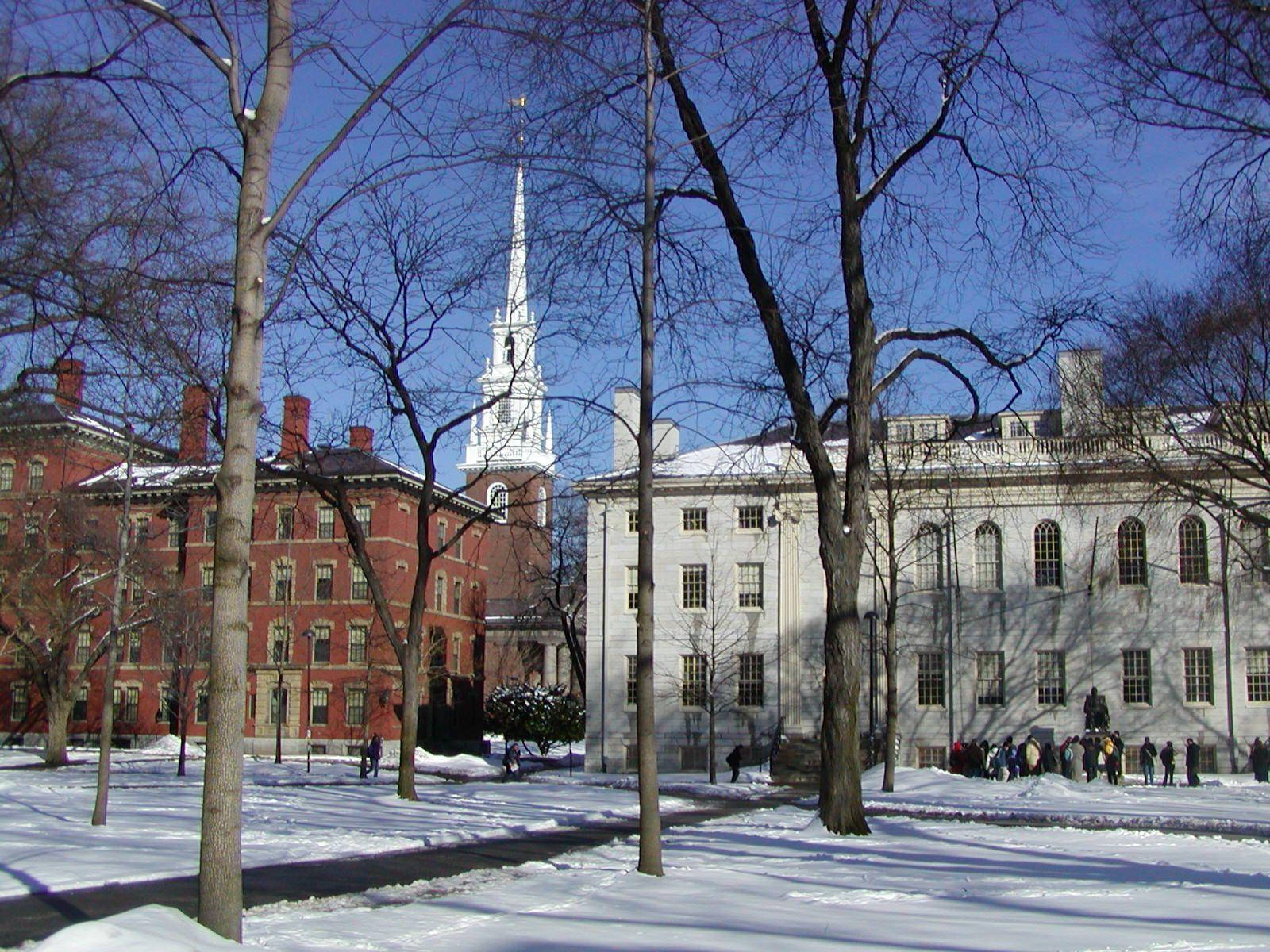 Harvard University Yard Winter Wallpaper