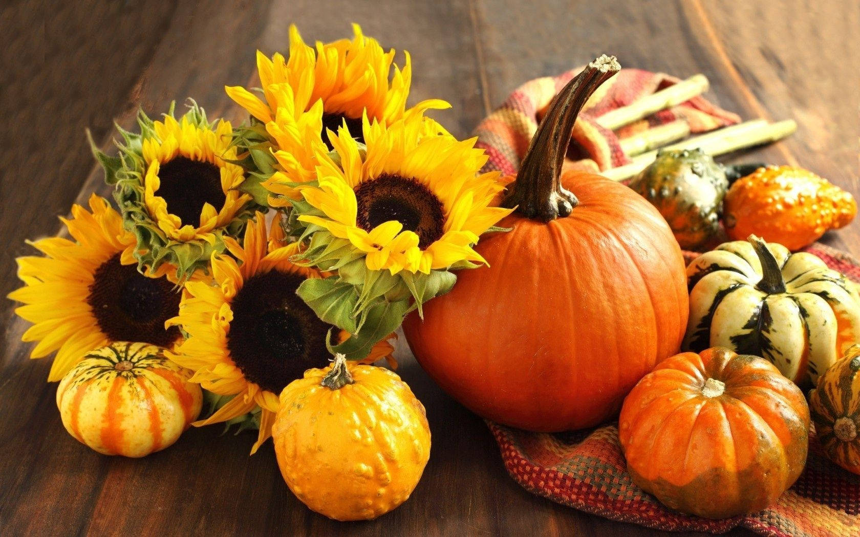 Harvest During Fall Season Wallpaper