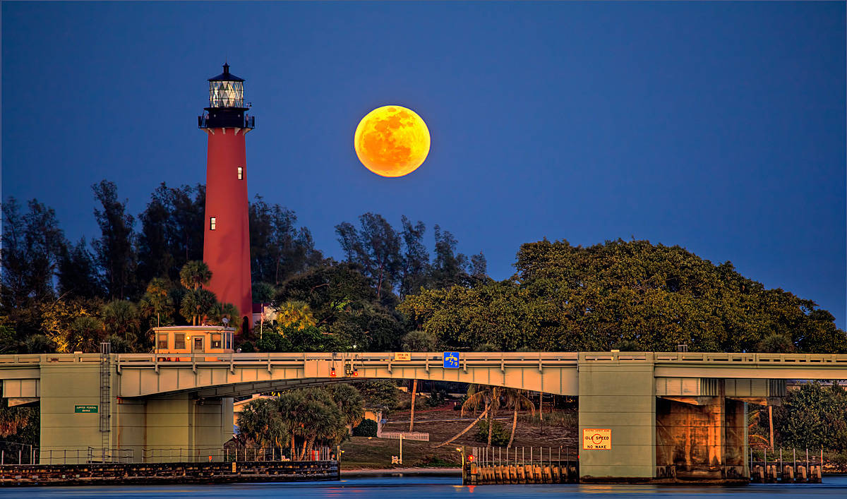 Harvest Moon Over Florida Wallpaper