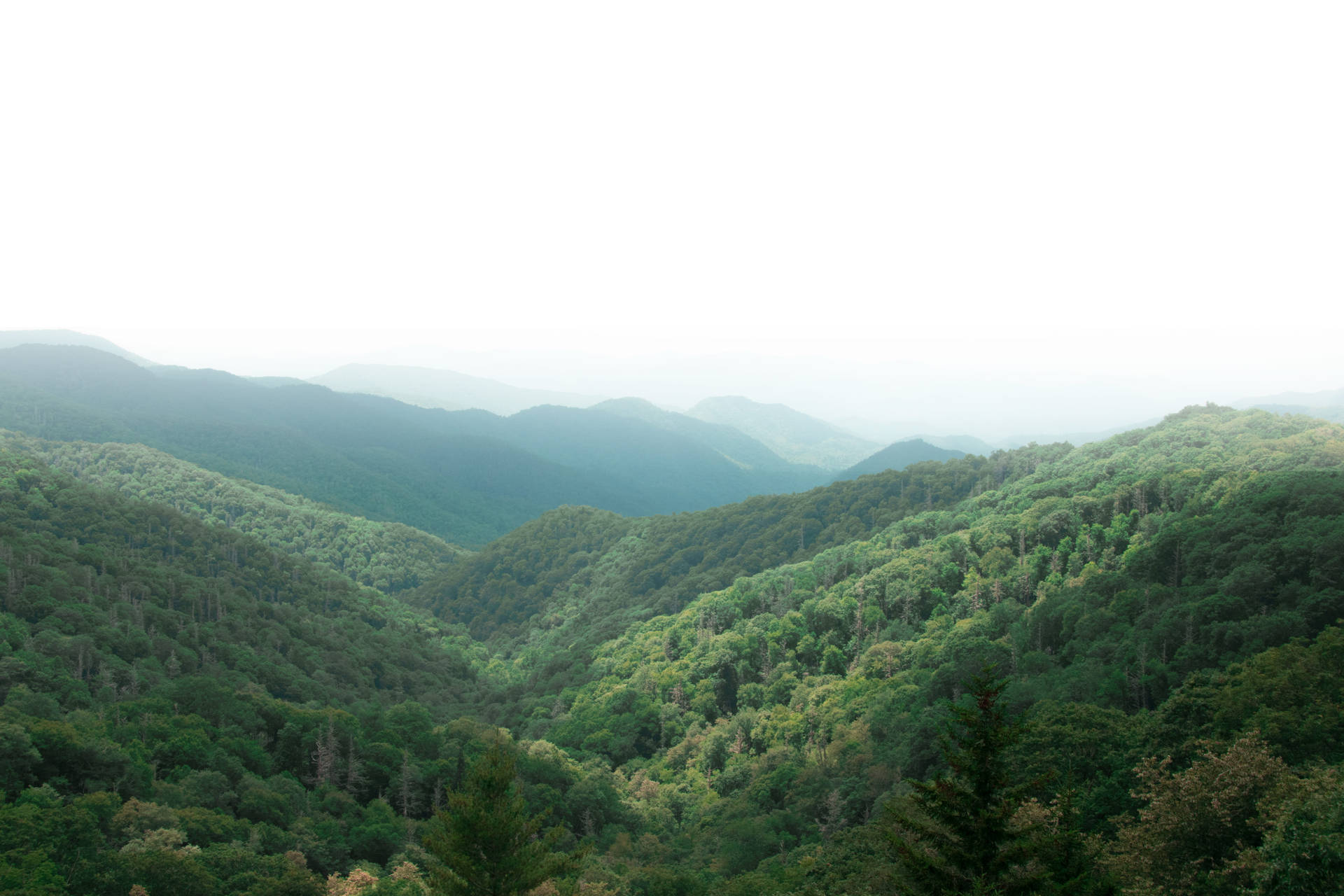 Hazy Smoky Mountains Wallpaper