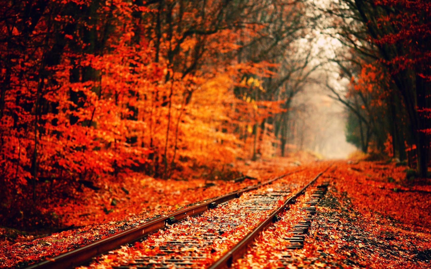 Hd Autumn Railroad Tracks Wallpaper