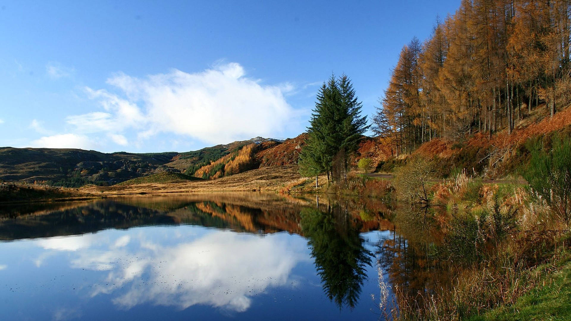 Hd Landscape Trees And A Calm Lake Wallpaper