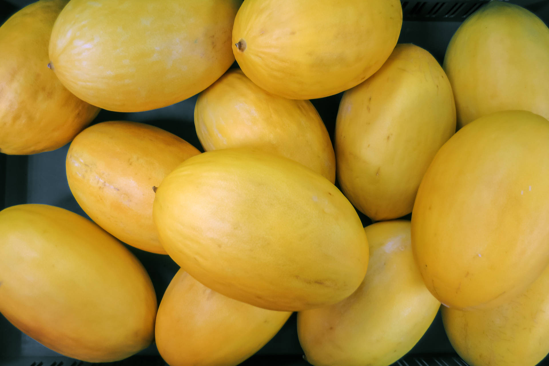 Heaps Of Canary Melon Wallpaper