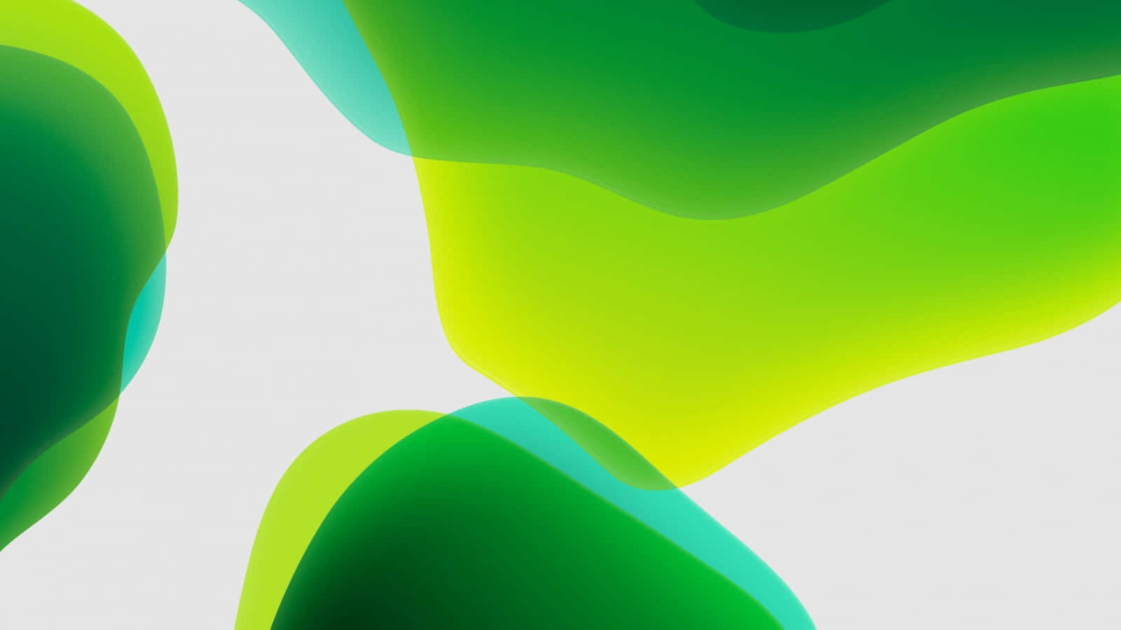 High-quality Green Color Wallpaper