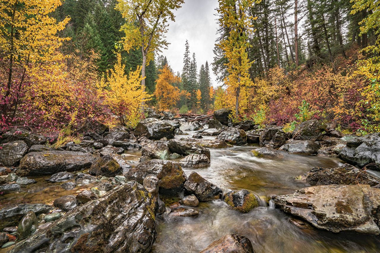 Hiking Trail Montana Wallpaper