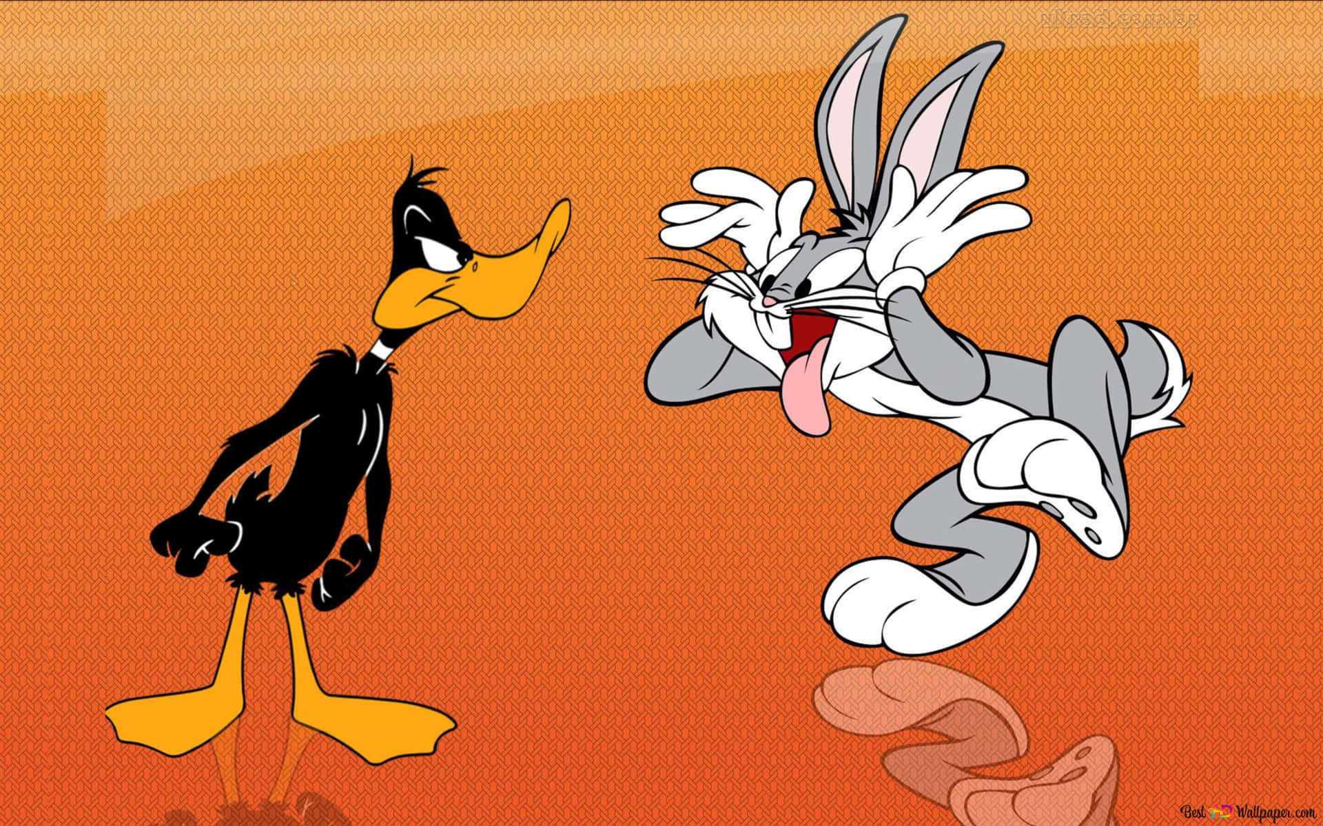 Hilarious Bugs Bunny And Angry Daffy Duck Wallpaper