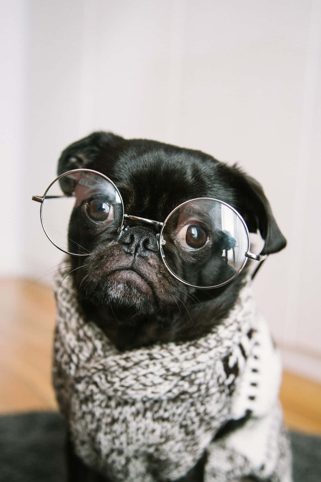 Hilarious Pug With Eyeglasses Wallpaper