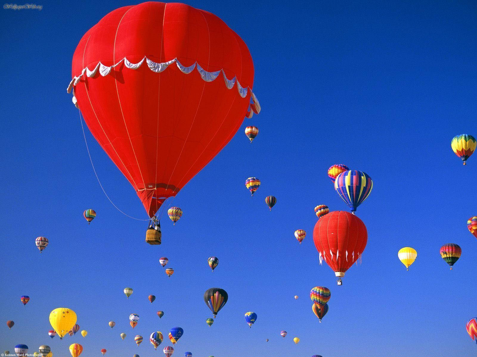 Hot Air Balloons In Albuquerque Wallpaper