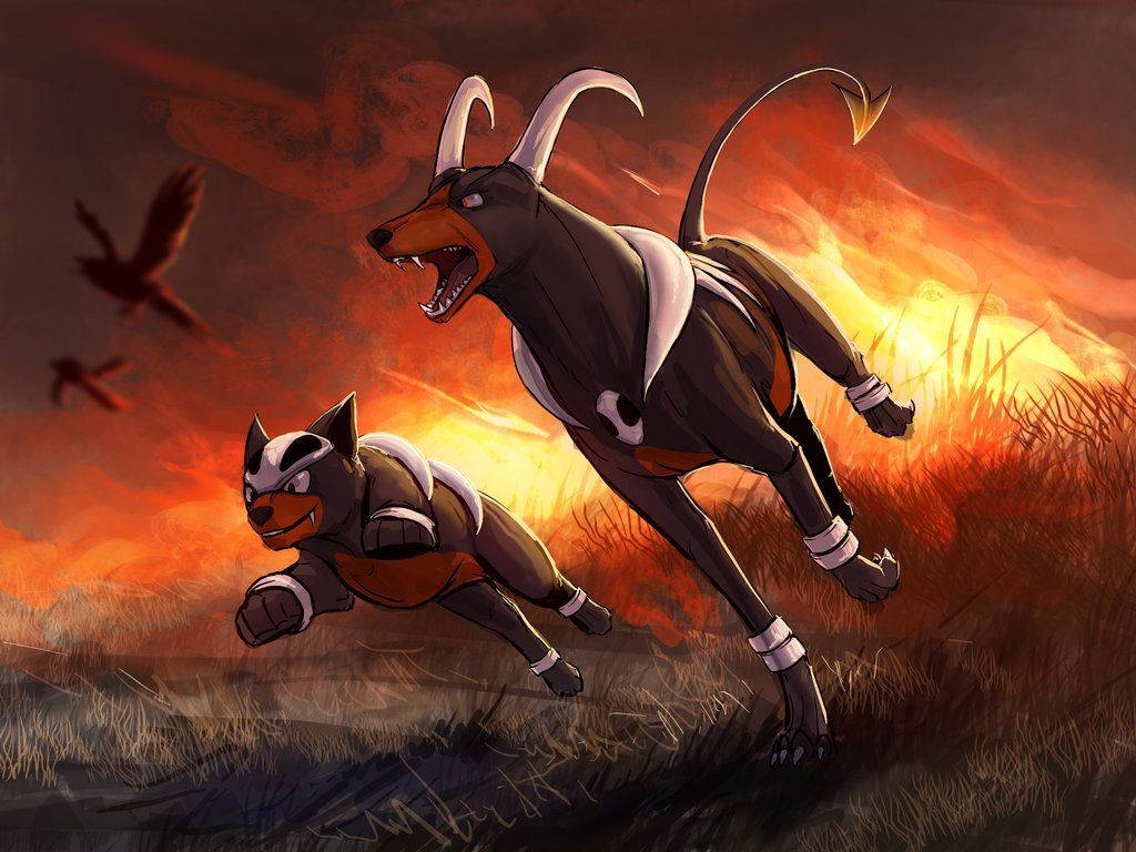 Houndoom And Houndour After Starting A Fire Wallpaper