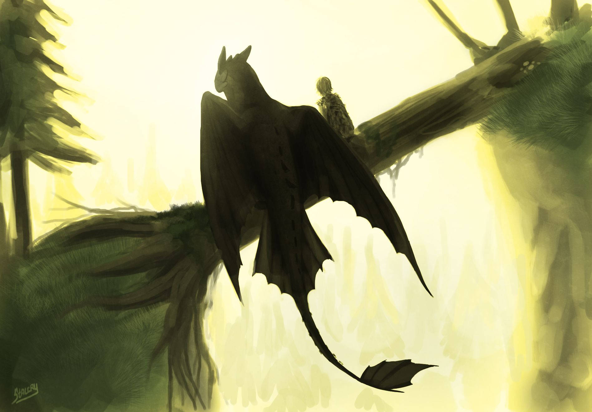 How To Train Your Dragon Graphic Fan Art Wallpaper