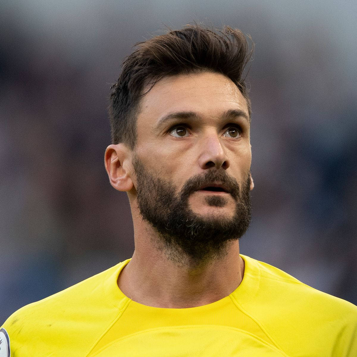 Hugo Lloris Portrait Wallpaper