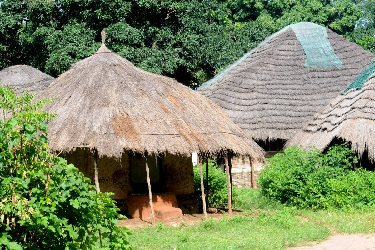 Huts Guinea Bissau Wallpaper