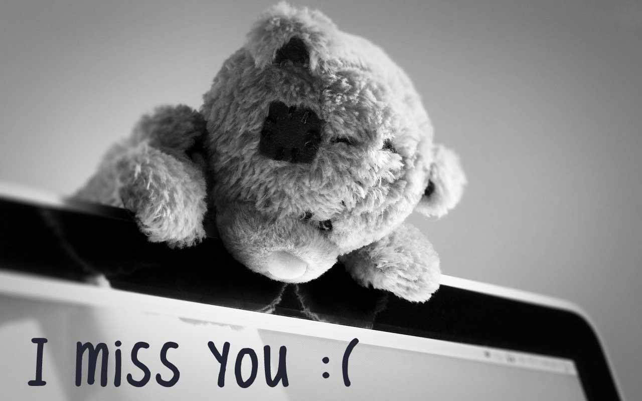 I Miss You Bear Wallpaper