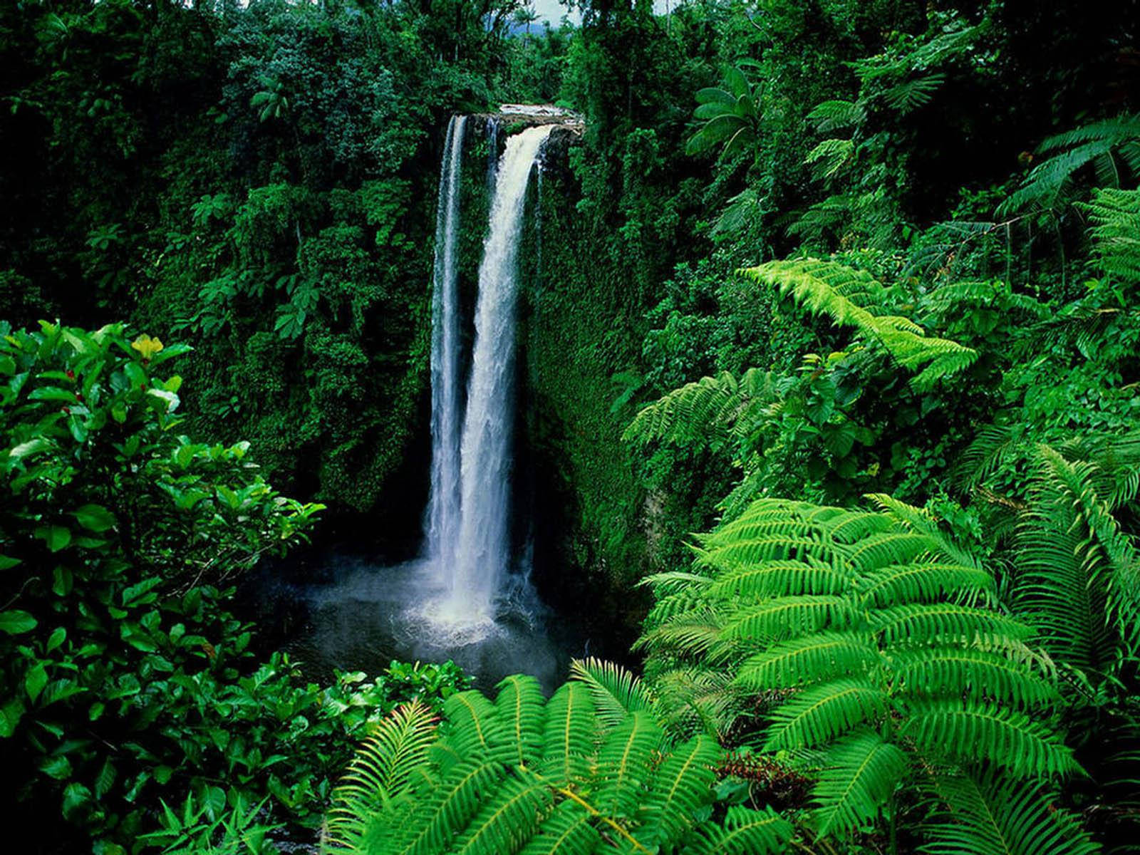 Idyllic Green Nature Waterfall Wallpaper