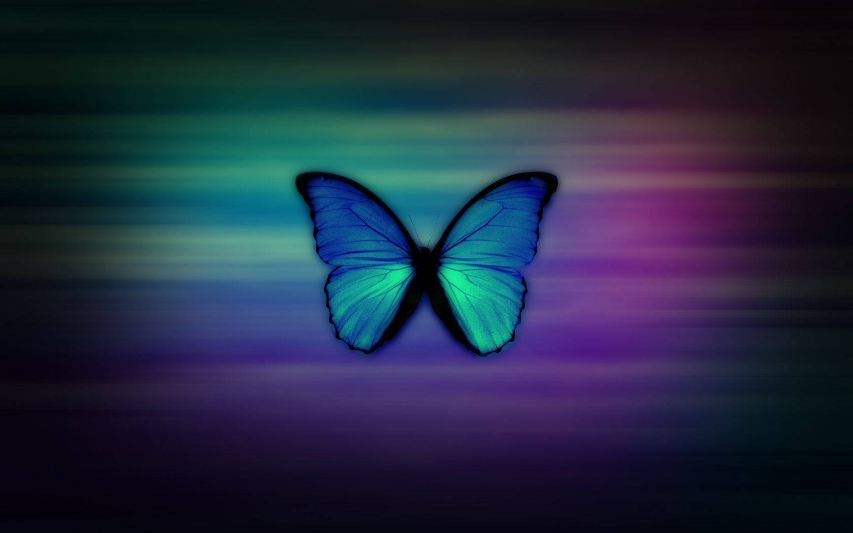 Illuminate Your Style With This Neon Purple & Blue Butterfly Wallpaper