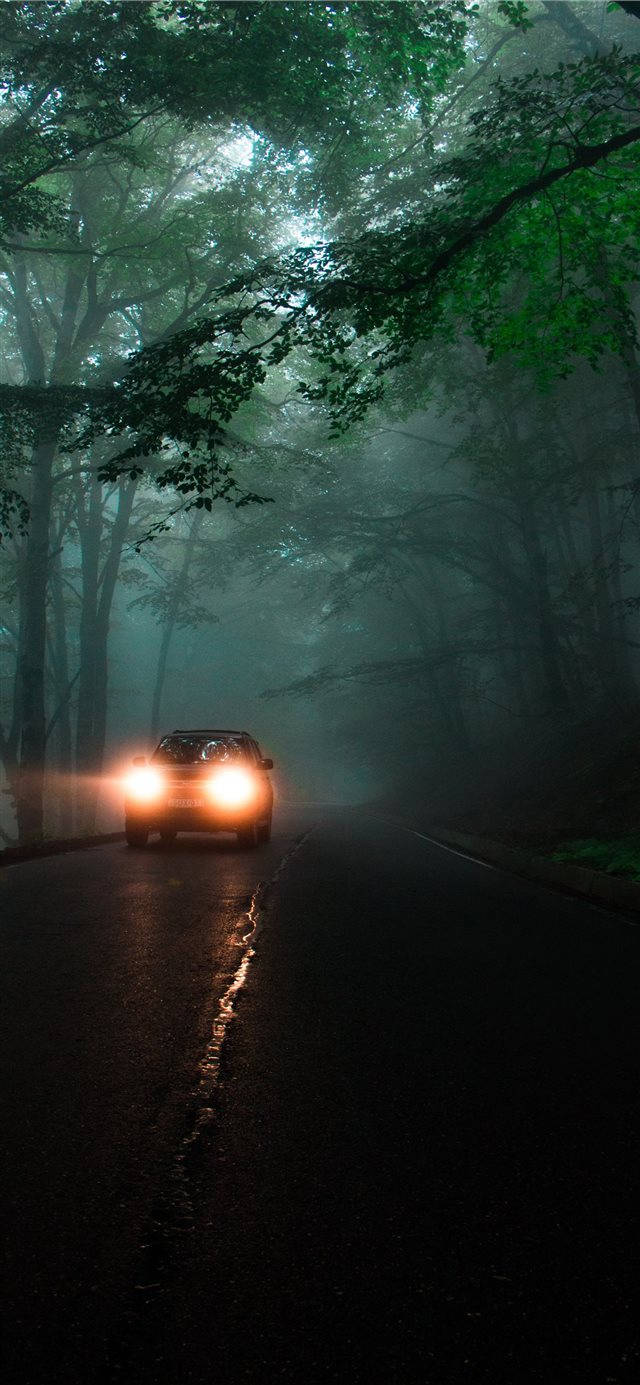 Iphone Car Dark Forest Road Wallpaper