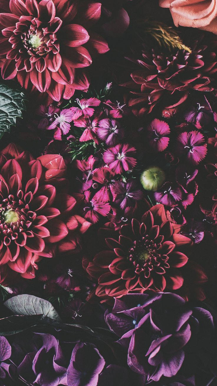 Iphone Xs Flowers Wallpaper