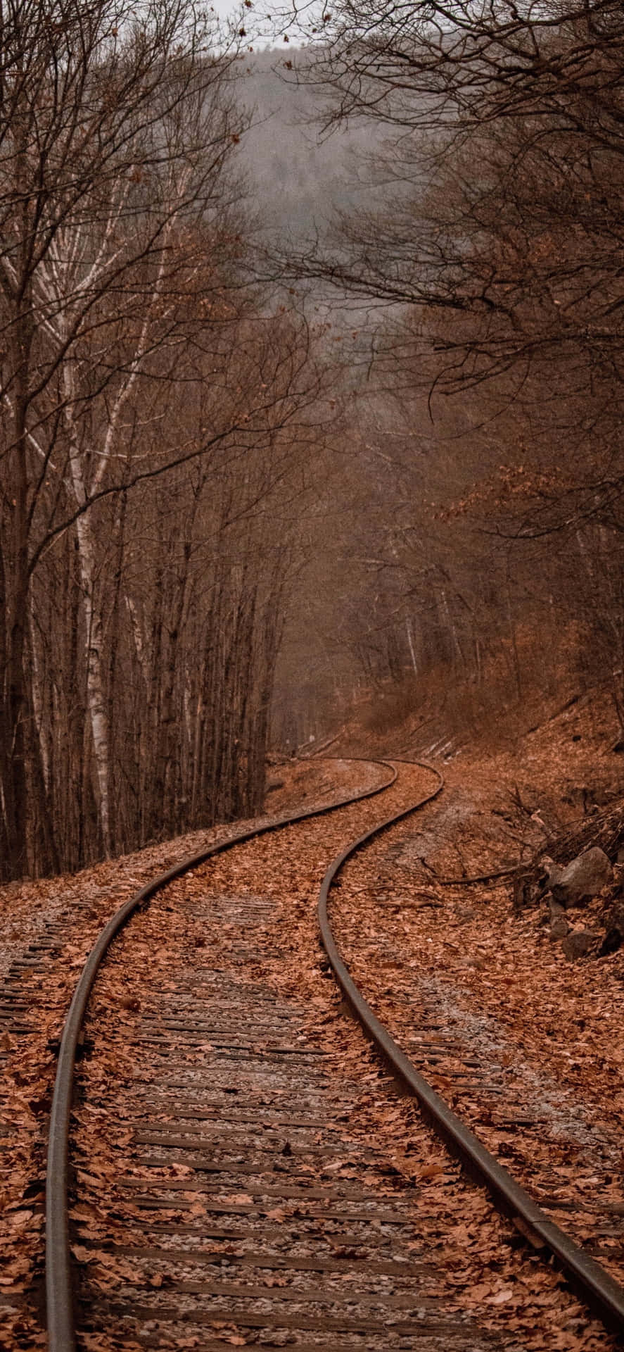 Iphones Xs Max Railway Full Of Autumn Leaves Wallpaper