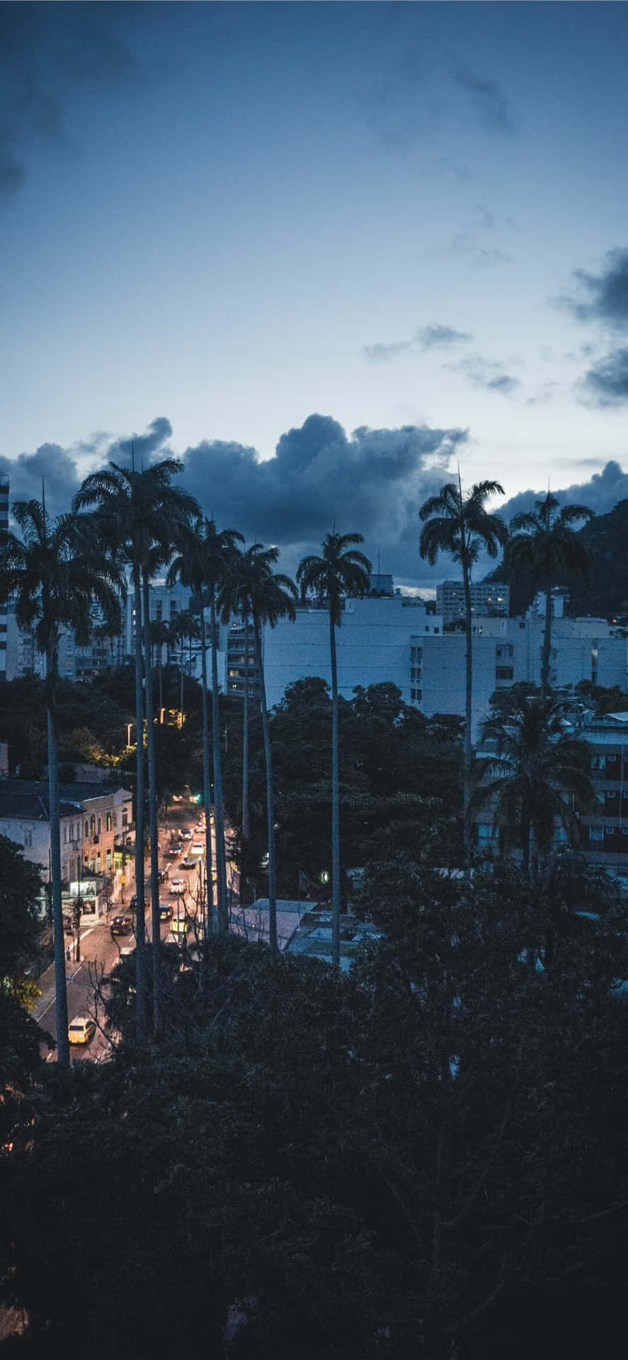 Iphones Xs Max Tall Palms On Busy Road Wallpaper