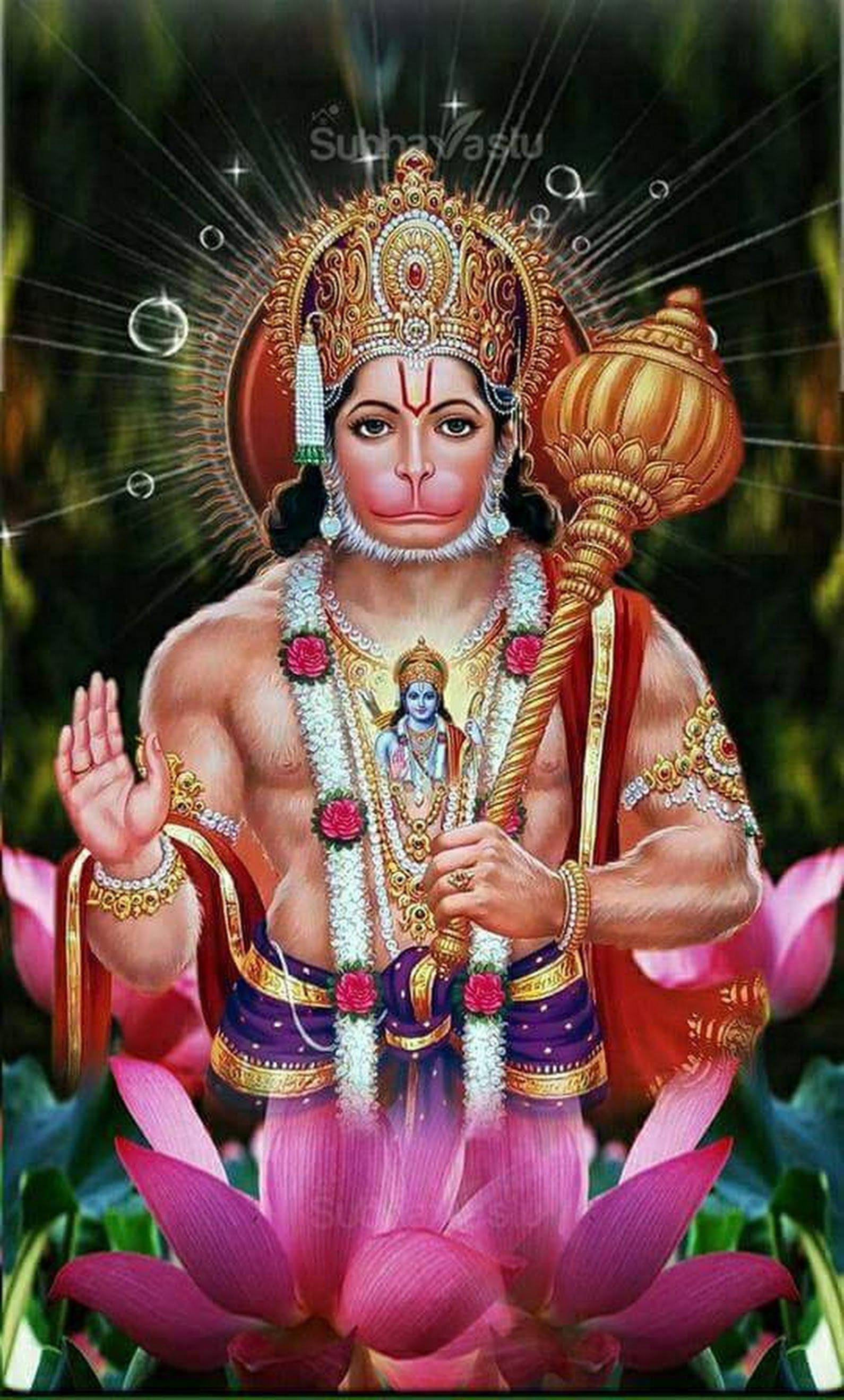 Jai Hanuman Pink Lotus Wallpaper