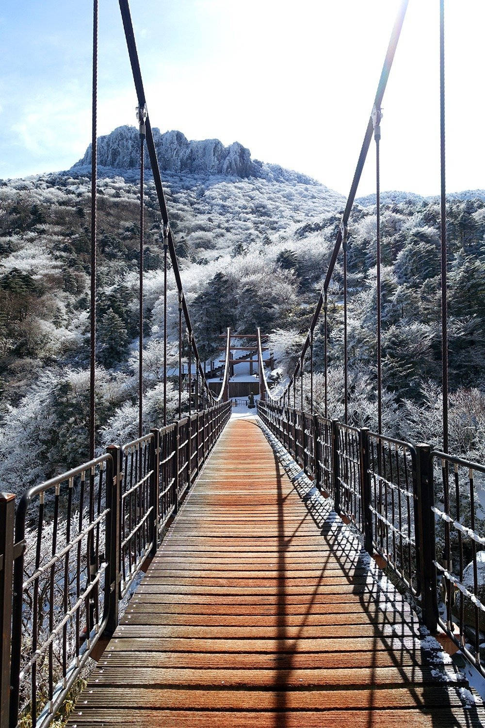 Jeju Island Hanging Bridge Wallpaper