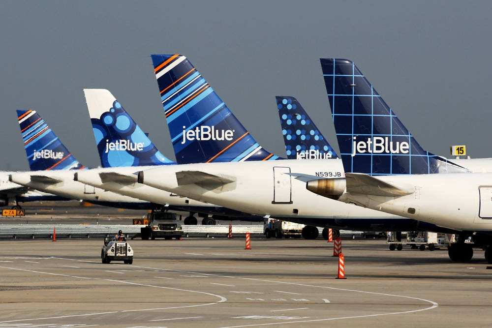 Jetblue Airways Airlines Rudder Print Patterns Wallpaper