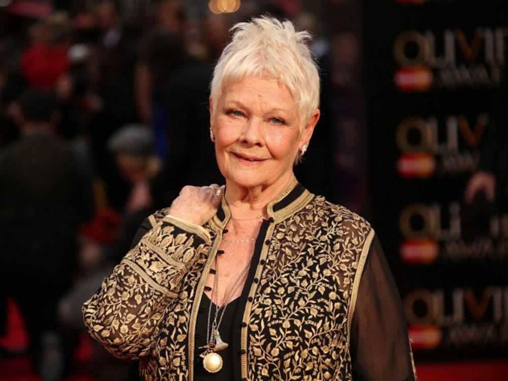 Judy Dench Red Carpet Event Wallpaper