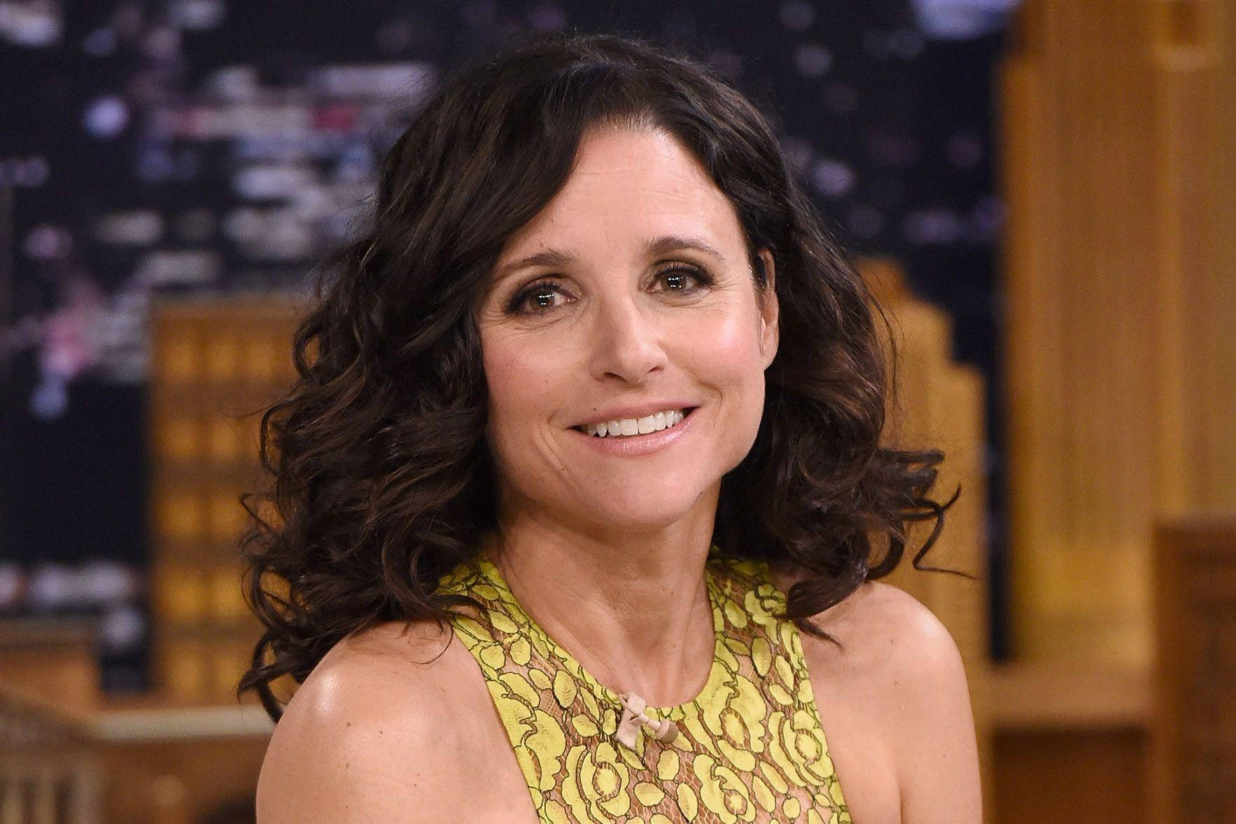 Julia Louis-dreyfus Saturday Night Live Guesting Wallpaper