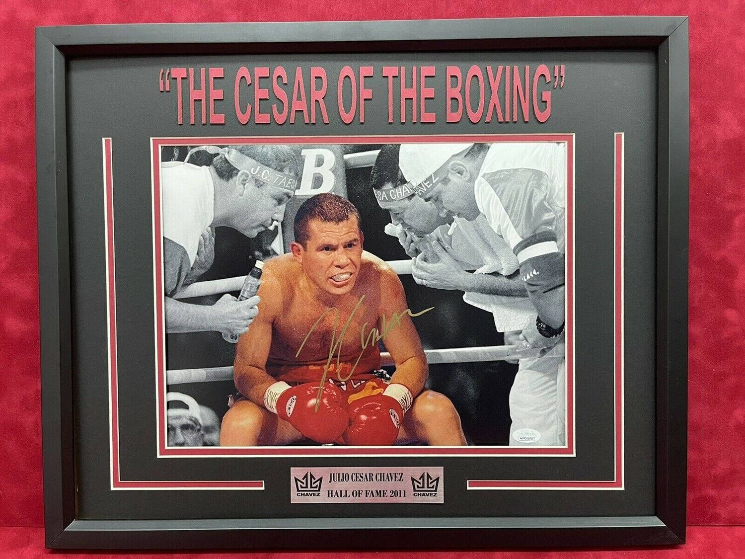 Julio Cesar Chavez Hall Of Fame Wallpaper