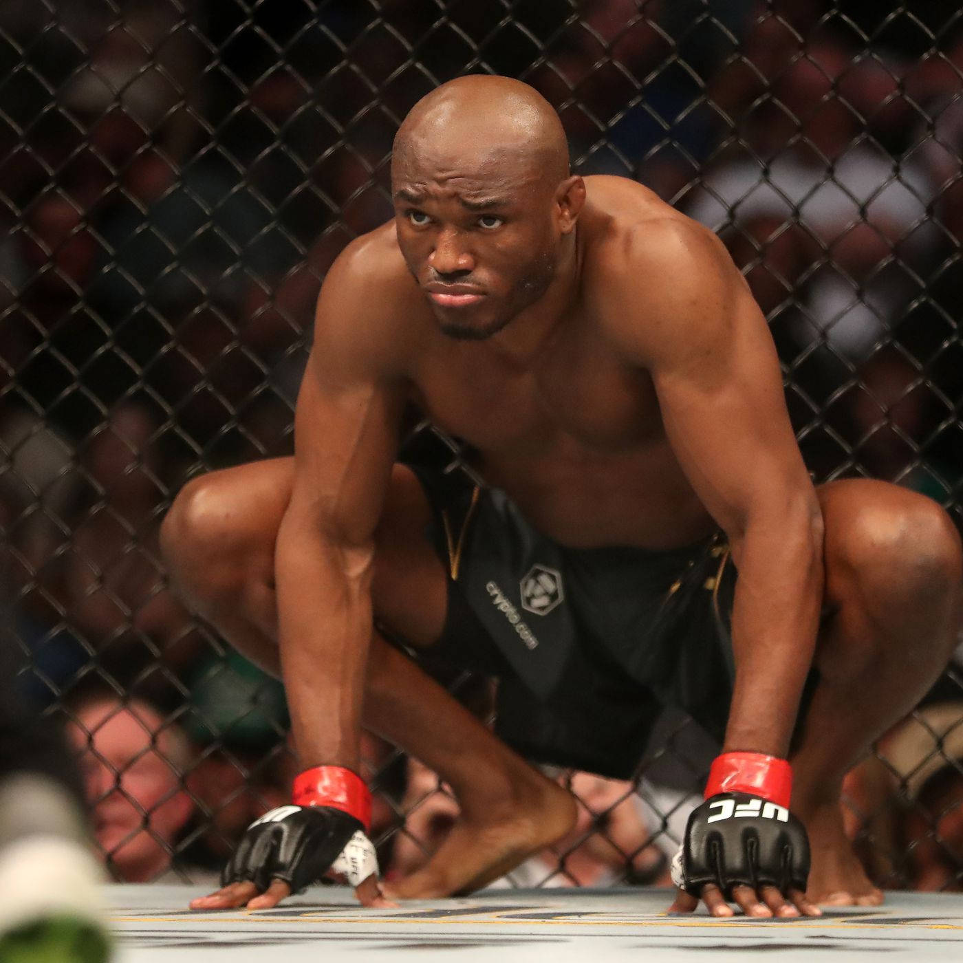 Kamaru Usman Hands Ground Wallpaper