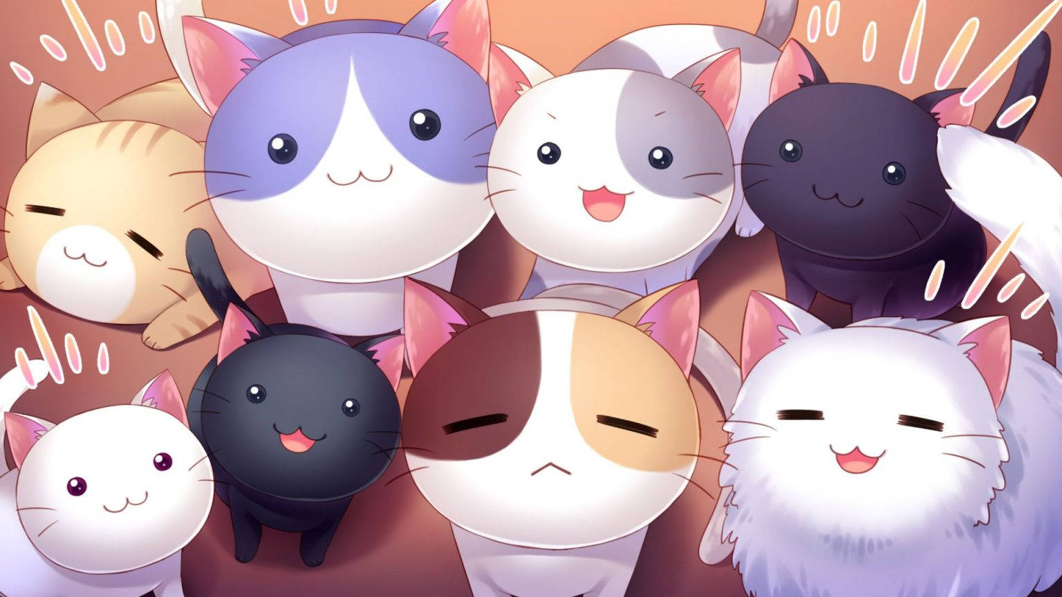 Kawaii Hd Smiling Cats Wallpaper