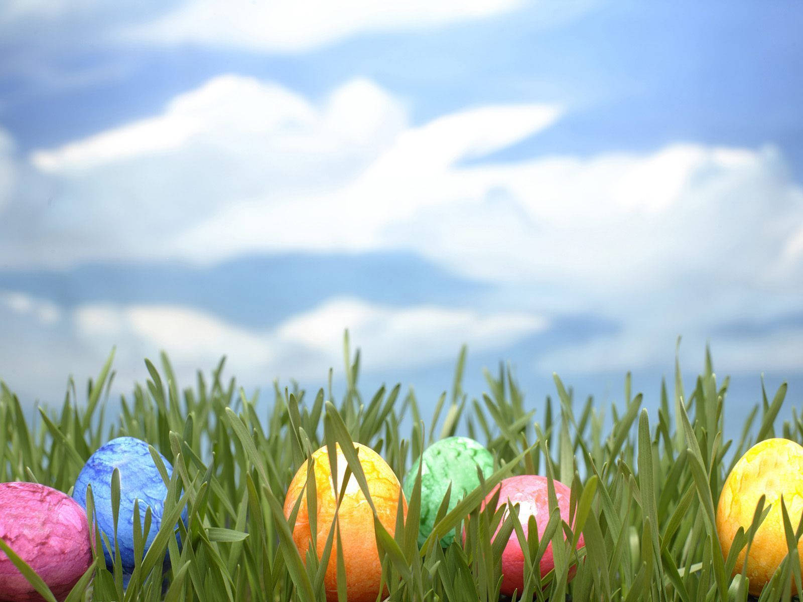 Kids Having Fun At An Easter Egg Hunt Wallpaper