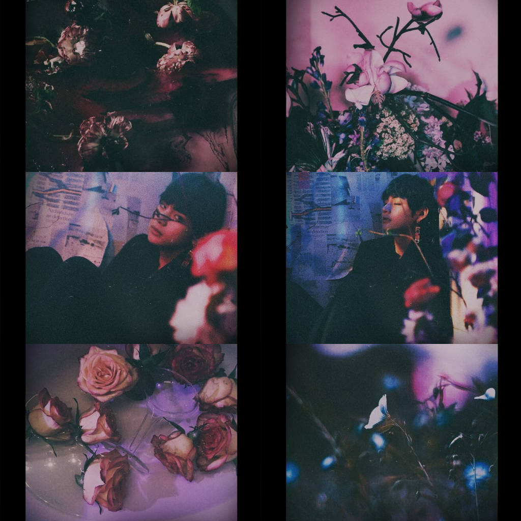 Kim Tae-hyung Aesthetic Dark Roses Wallpaper