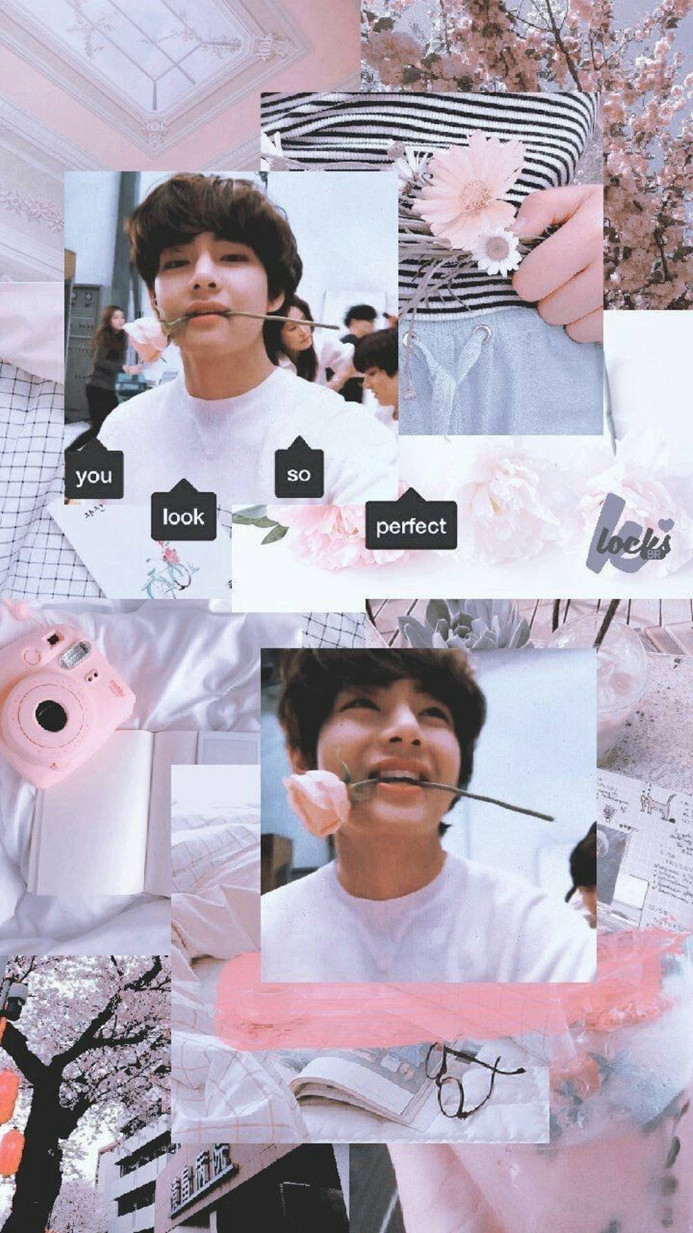 Kim Tae-hyung Aesthetic Pink Rose Wallpaper