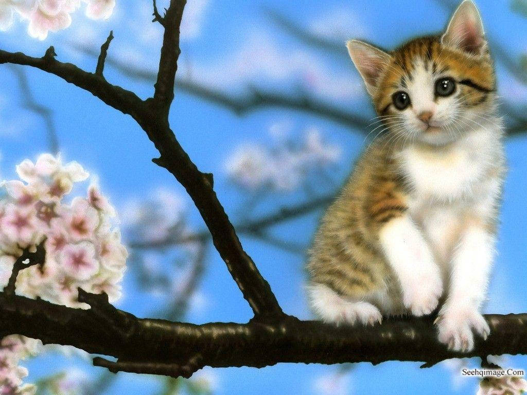 Kitten On The Tree Wallpaper