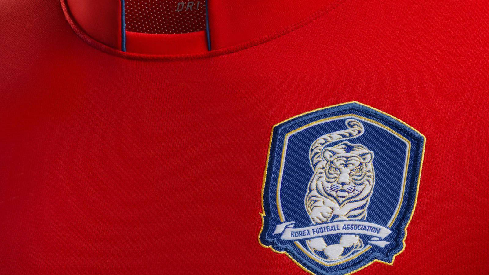 Korea Republic National Football Team Blue Tiger Wallpaper